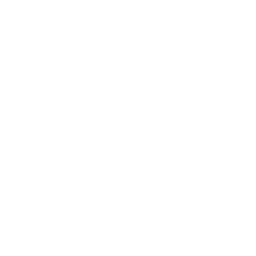 Vulture Droid