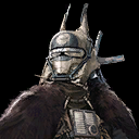 Enfys Nest